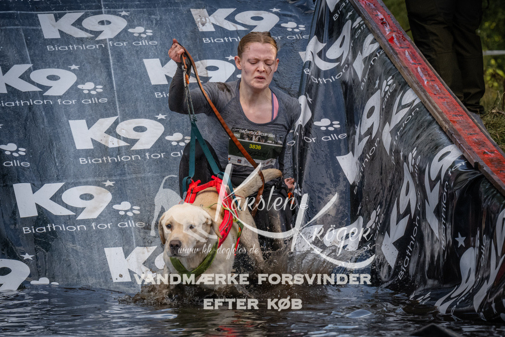 1555_ZZ91231 | kk-dogfotos