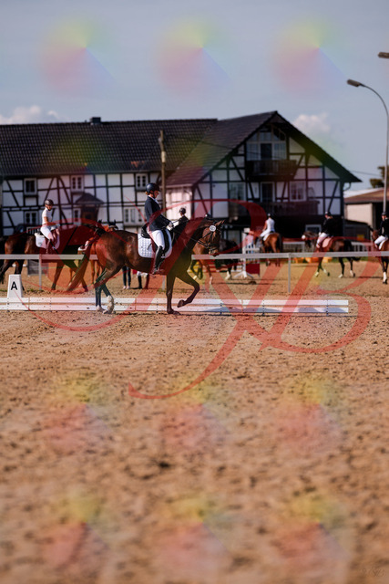 2026_10_03_Siefer-Hof_125521_Z81_44116552 | Professionelle Reitsport-, Turnier- und Eventfotografie von Robert Broda. Galerien mit ausgewählten und bearbeiteten Bildern direkt online ansehen und bestellen.
