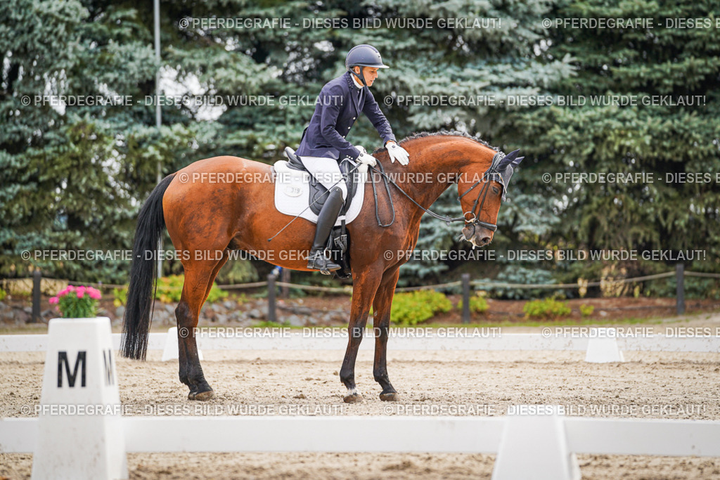 DSC01972 | Pferdegrafie