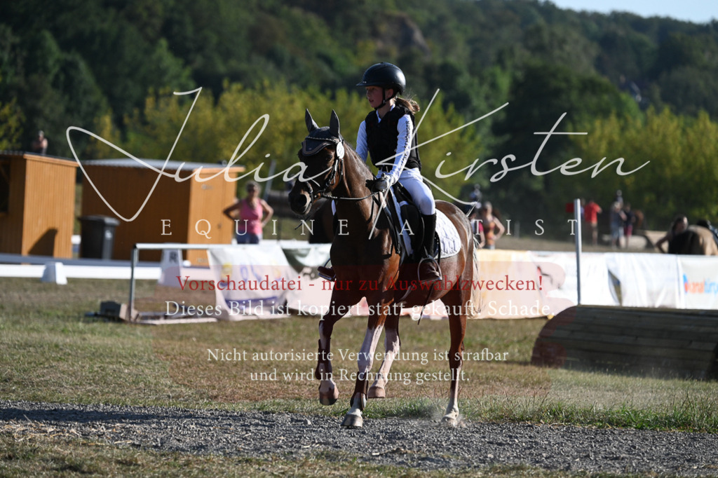 DSC_8990 | Pferde- und Turnierfotografie in Westsachsen. Pferdeportraits, Auftragszeichnungen und intuitive Kunst.