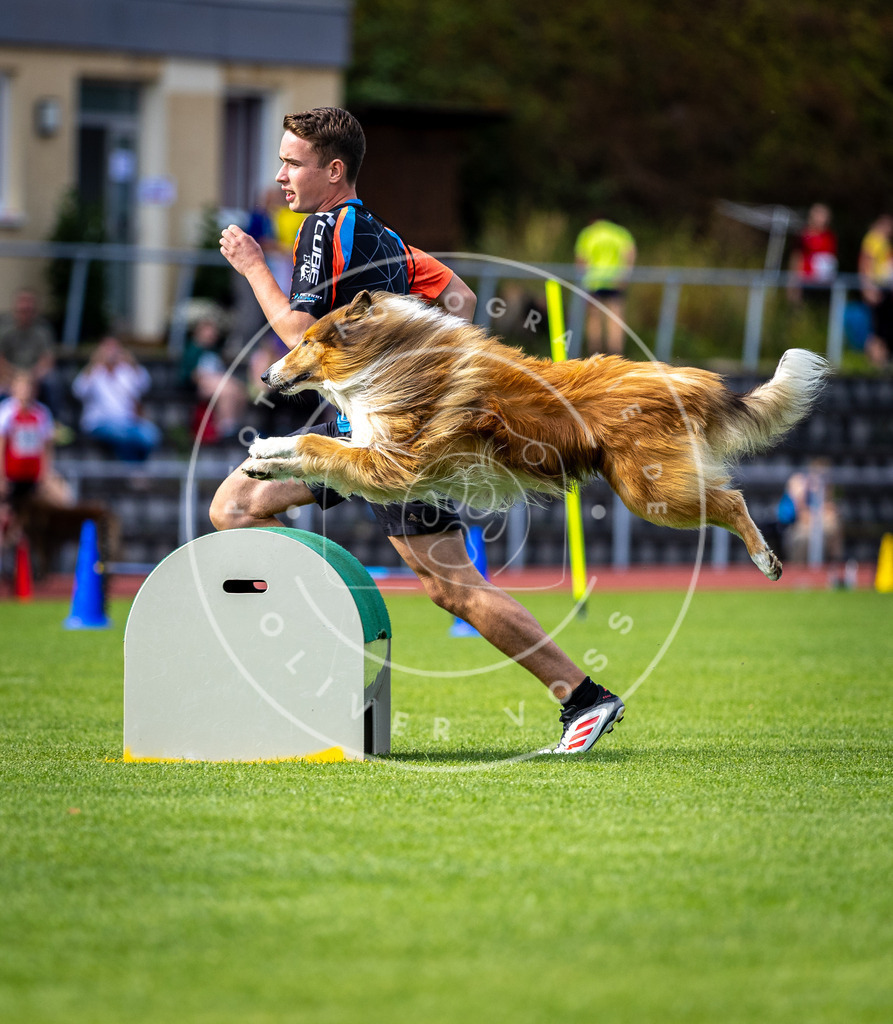 Pfotenfotografie_DV3A1033 | Hundefotografie, Tierfotograf, Pfotenfotografie, Fotoshooting Hund, Hunde Portrait, Hundesport, Hundeportraits, Heideshooting, Hunde, Sportfotograf, Hundefotograf, Turnierhundsport, THS,  - Realisiert mit Pictrs.com