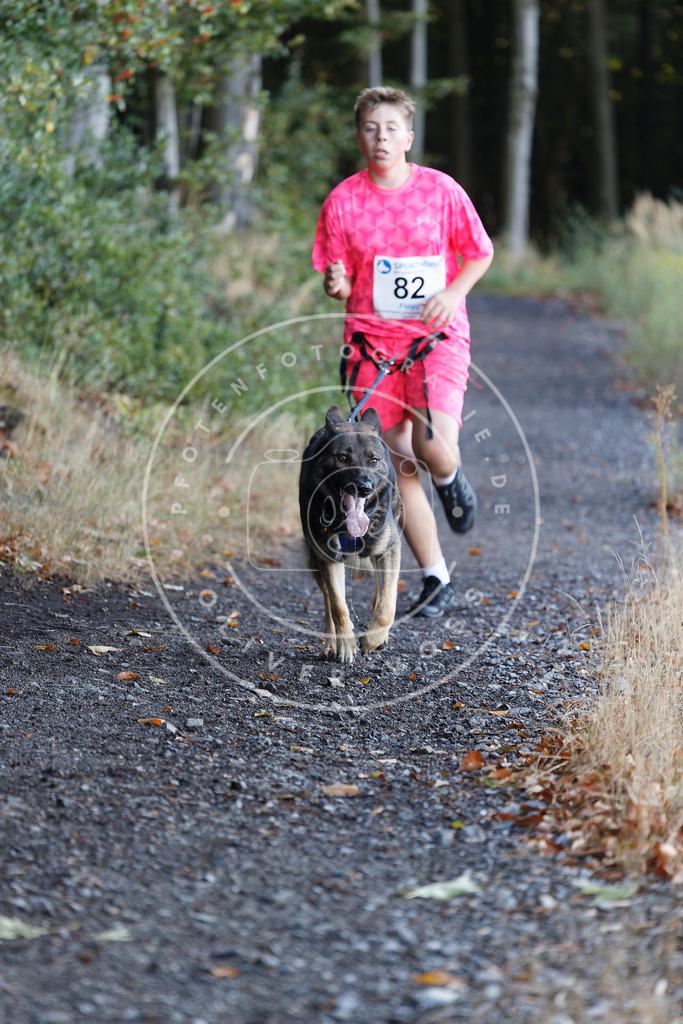0L8A2094 | Hundefotografie, Tierfotograf, Pfotenfotografie, Fotoshooting Hund, Hunde Portrait, Hundesport, Hundeportraits, Heideshooting, Hunde, Sportfotograf, Hundefotograf, Turnierhundsport, THS,  - Realisiert mit Pictrs.com