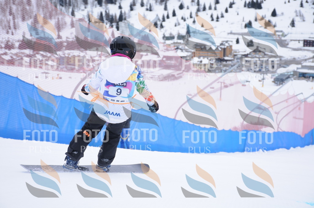 DSC_9619 | holidayphoto