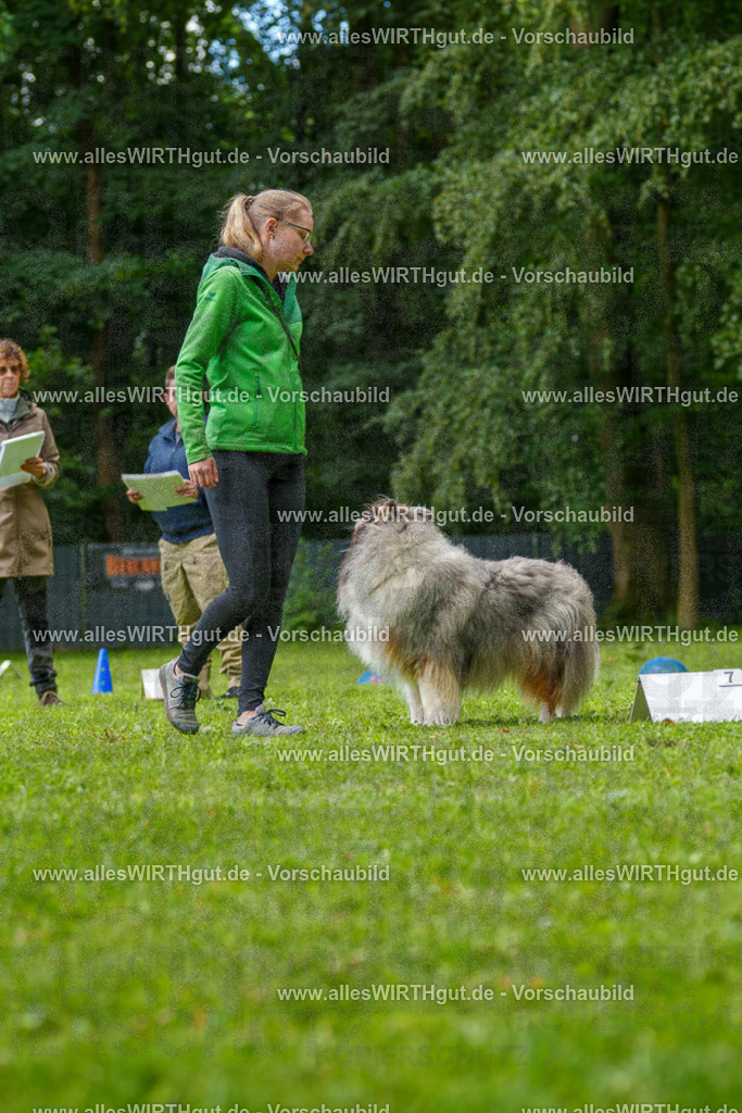 @allesWIRTHgut_Tierfotografie - www.allesWIRTHgut.de - 083410-7R506364 | Professionelle Tierfotografie in Mönchengladbach von Daniel Wirth (allesWIRTHgut). Liebevolle & natürliche Bilder von Hunden & Katzen für unvergessliche Erinnerungen.