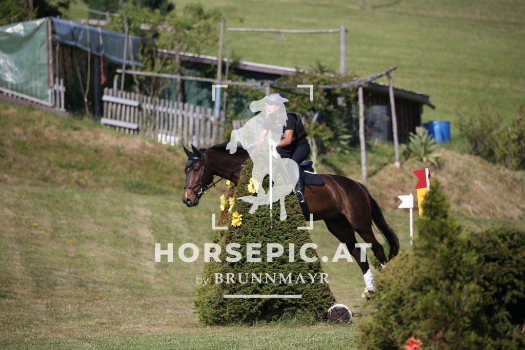 DL2Q2061 | Willkommen bei Brunnmayr - Design & Fotografie – Ihrem Spezialisten für Reitturniere und Pferdeveranstaltungen in Oberösterreich, Salzburg und Bayern! Seit über 17 Jahren sind wir leidenschaftlich dabei.