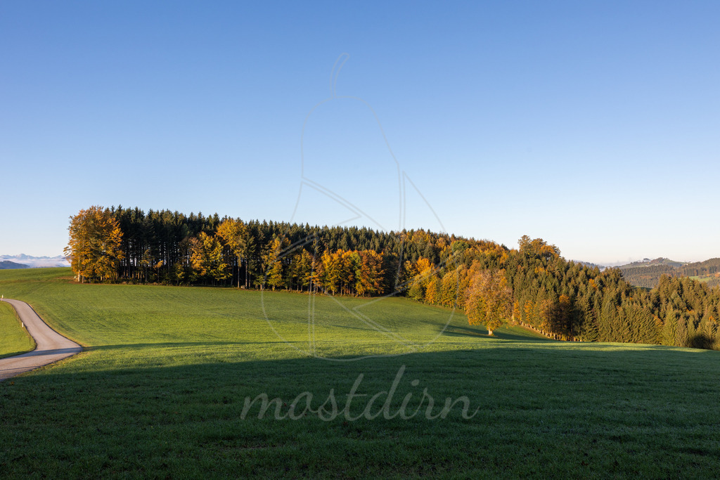 Herbstsonne Franzenreith Randegg | Ihre Fotografin im Lungau, ihre Fotografin im Mostviertel, Wandbilder Onlineshop, Imagefotos für Ihr Unternehmen,  - Realisiert mit Pictrs.com