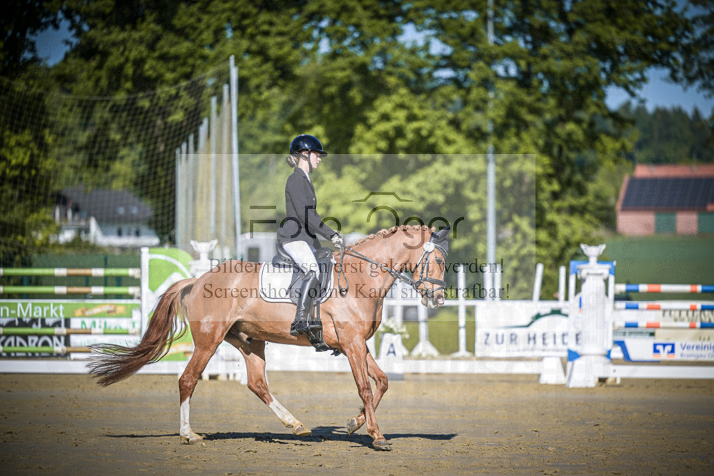 DOS_3413 | Entdecke hochwertige Reitturnierfotos von Foto Oger. Professionell, emotional und authentisch – jetzt Lieblingsmomente im Shop bestellen.Deutschlandweite Turnierfotografie. - Realisiert mit Pictrs.com