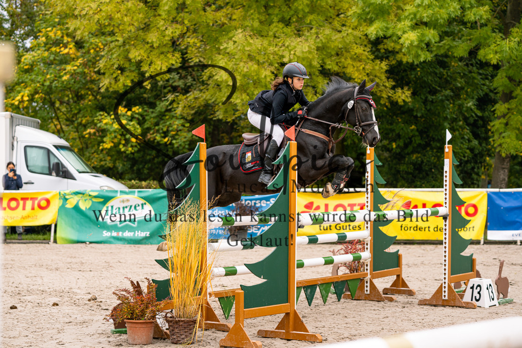 A7V00938 | Pferdefotograf