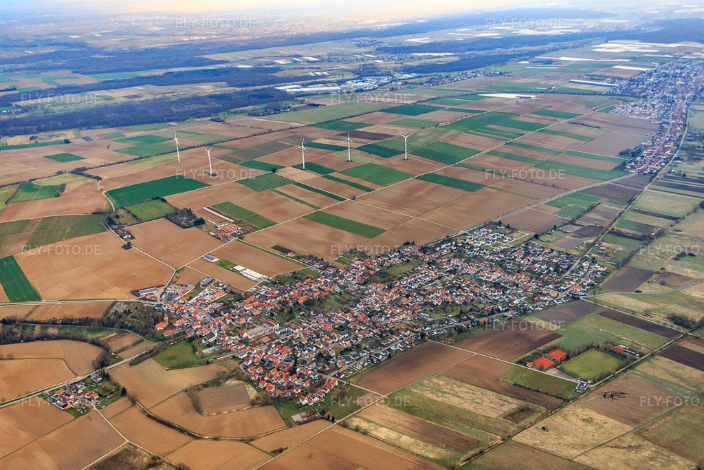 Luftbild: Dorfübersicht im Winter aus Südwesten in Minfeld im Bundesland Rheinland-Pfalz in Deutschland. Foto: IMG_076676.jpg vom 28.03.2015 durch Werner Riehm/FLY-FOTO.de