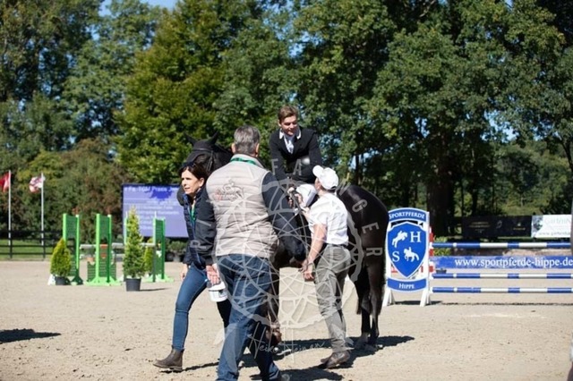 2B4A0538 | pixelfaenger - Realisiert mit Pictrs.com