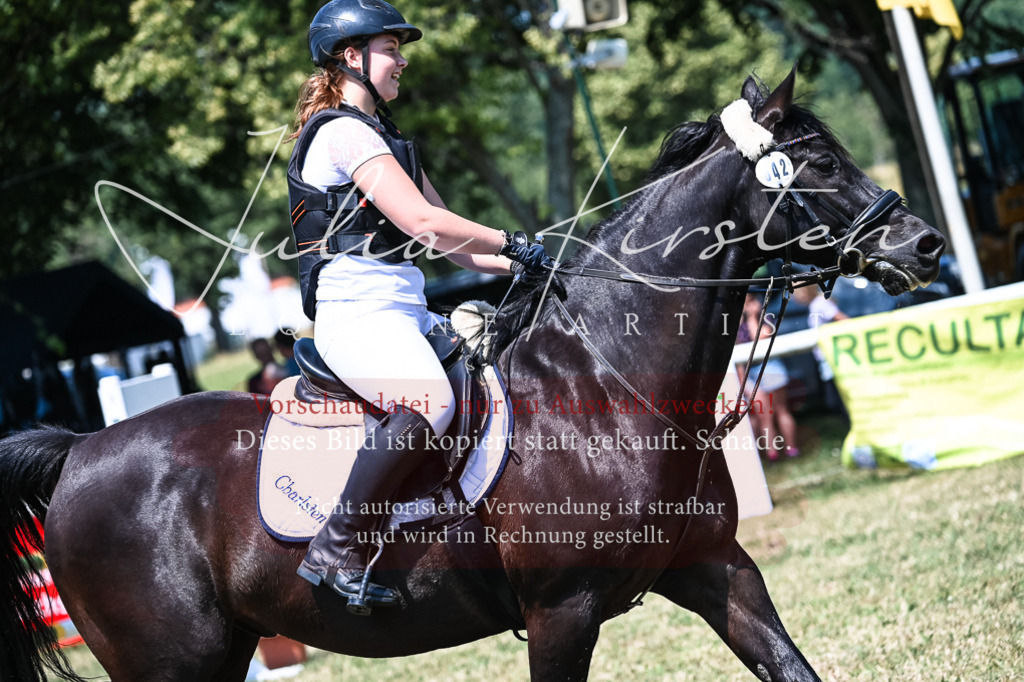 DSC_0428 | Pferde- und Turnierfotografie in Westsachsen. Pferdeportraits, Auftragszeichnungen und intuitive Kunst.