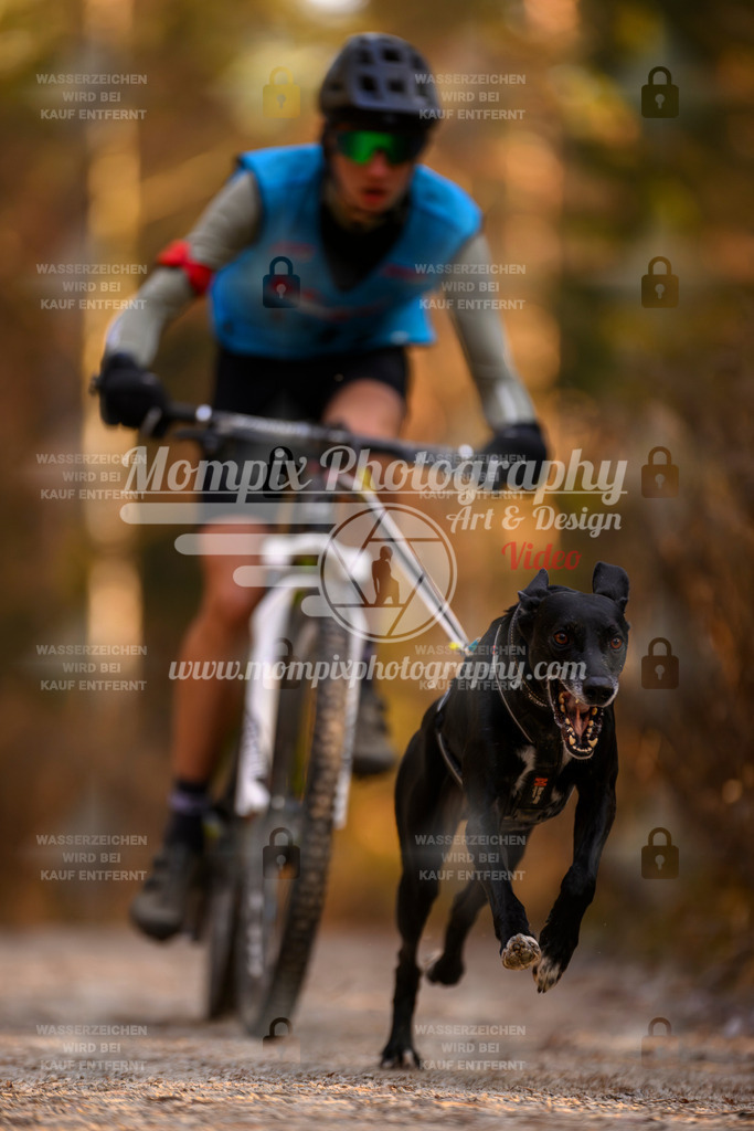 MompixPhotography_DM_AKDM_SO_2025_Bike-45 | PayLife