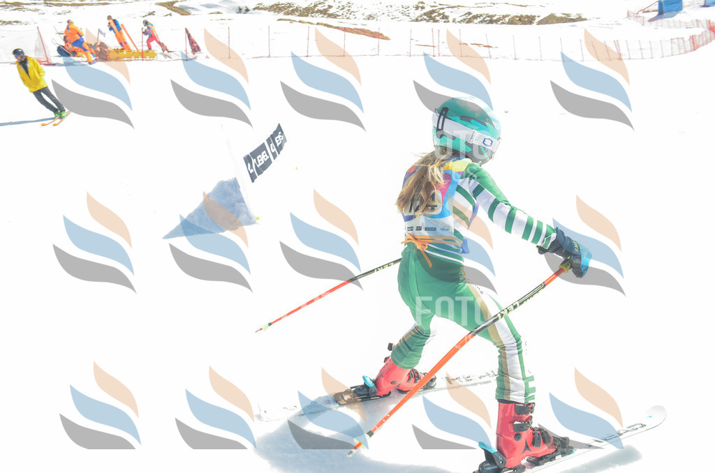 _ELE6048 | holidayphoto