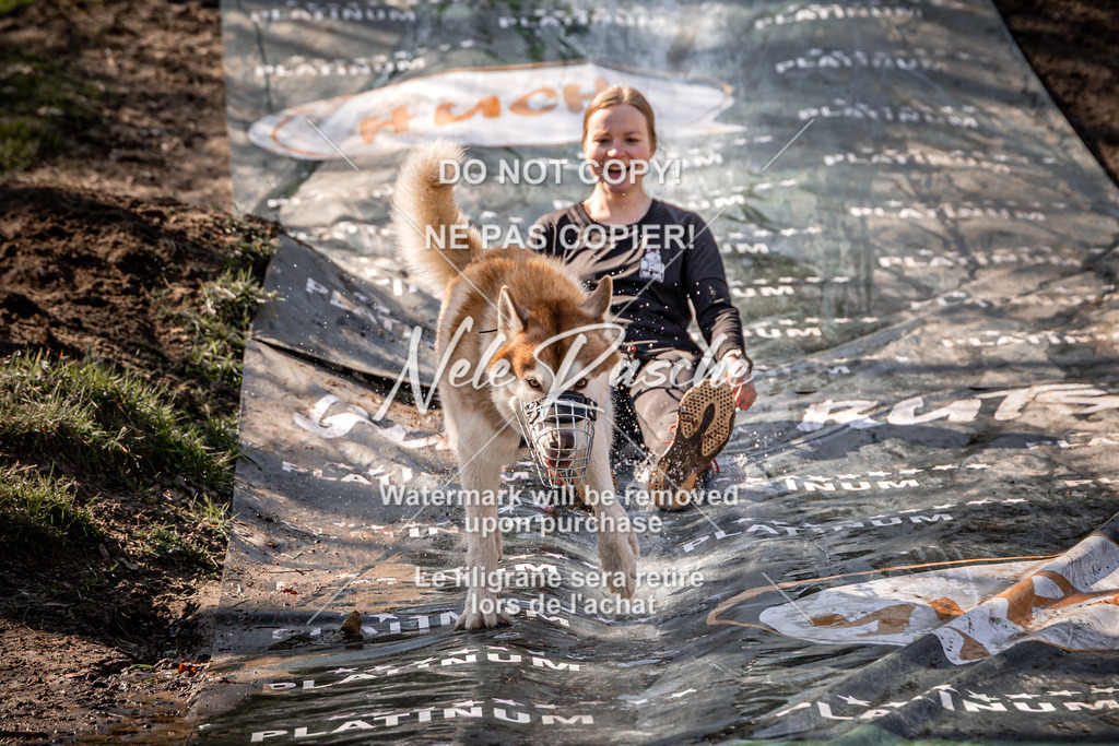 nelerasche_Hulsbeek_So1300-1330_111 | nelerasche