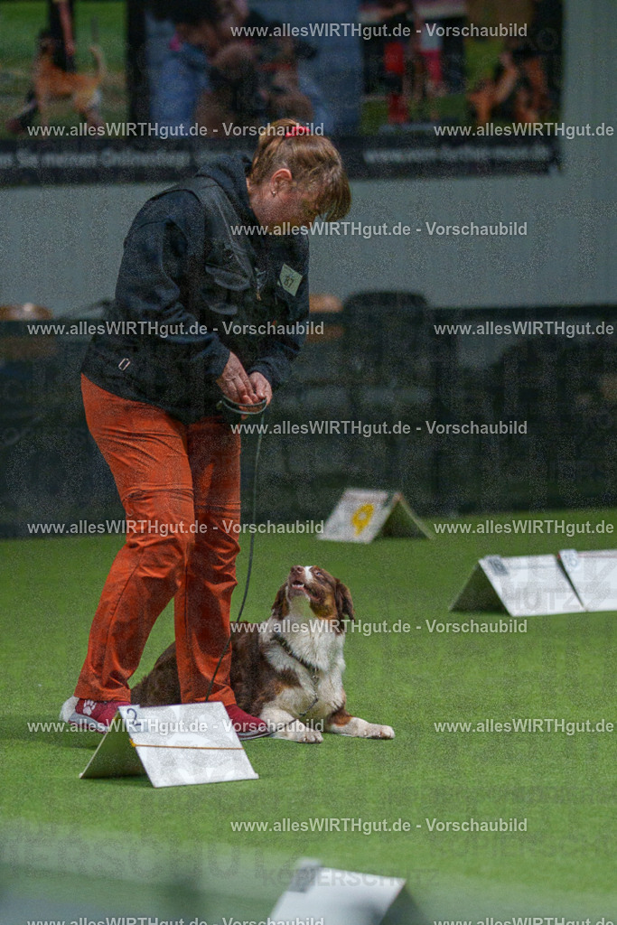 7R508175 | Professionelle Tierfotografie in Mönchengladbach von Daniel Wirth (allesWIRTHgut). Liebevolle & natürliche Bilder von Hunden & Katzen für unvergessliche Erinnerungen.