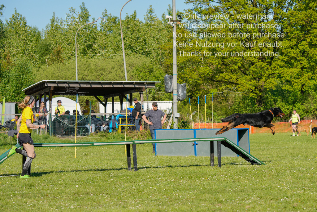 Sa_CSC-398 | stephaniefillaphotographie - Realisiert mit Pictrs.com