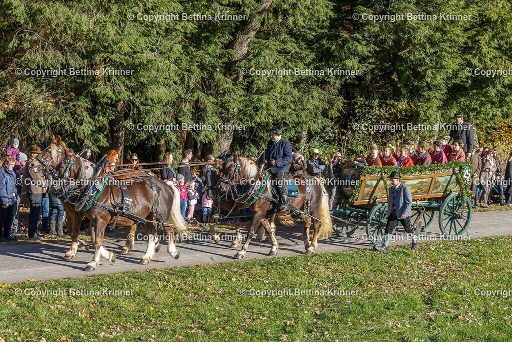 LBT25-199 | foto-bettina-krinner - Realisiert mit Pictrs.com