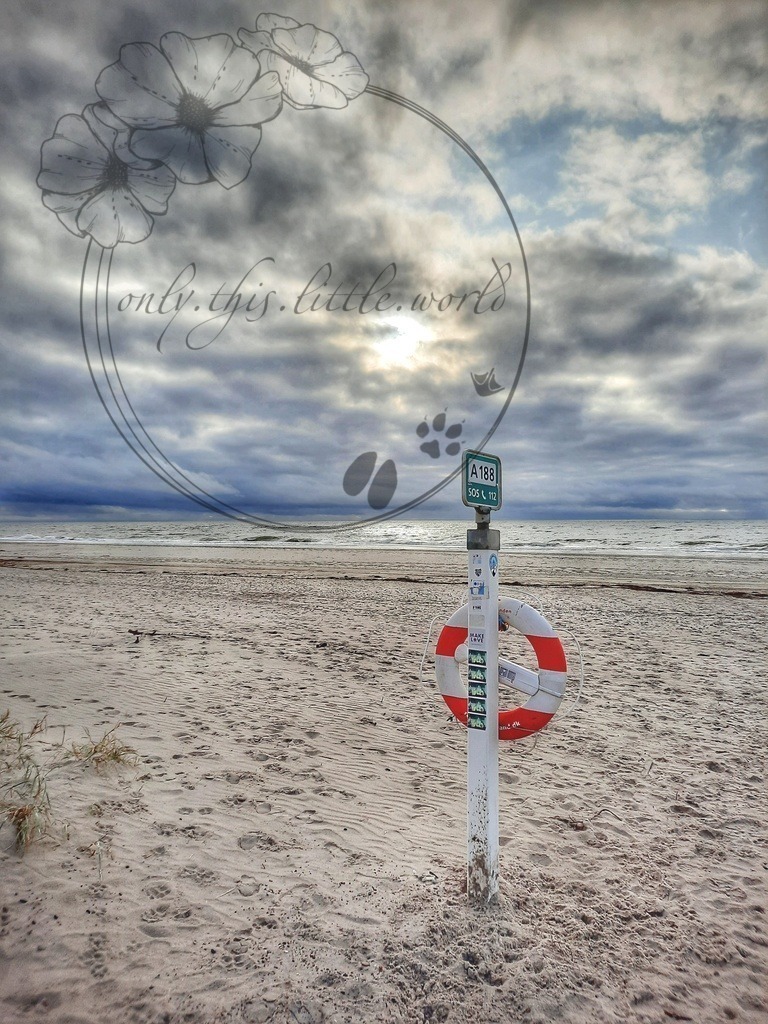 Handyaufnahme Strand  | Leider hatte ich die Kamera nicht mit, daher in geringer Auflösung vom Handy.  - Realisiert mit Pictrs.com