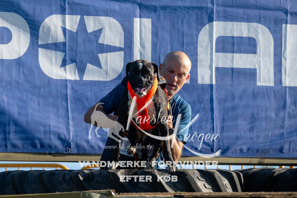 0831_ZZ94019 | kk-dogfotos