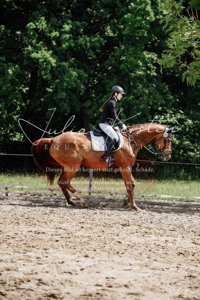 DSC_1352 | Pferde- und Turnierfotografie in Westsachsen. Pferdeportraits, Auftragszeichnungen und intuitive Kunst.
