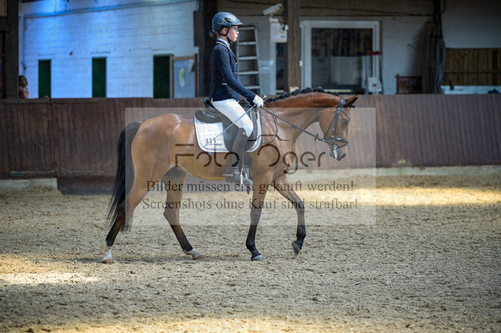 Reitturnier Voxtrup | Entdecke hochwertige Reitturnierfotos von Foto Oger. Professionell, emotional und authentisch – jetzt Lieblingsmomente im Shop bestellen.Deutschlandweite Turnierfotografie. - Realisiert mit Pictrs.com