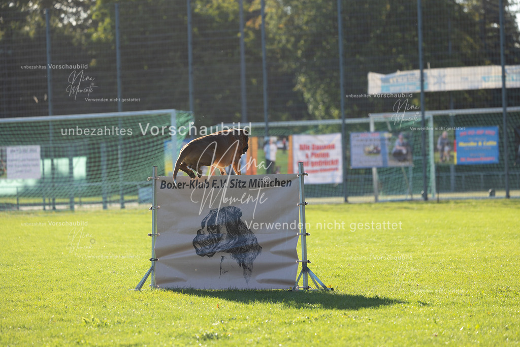 _16A4844 | Einzigartige Fotos von Hunden & Menschen –Actionfotos, Portraits, Vereinsaufnahmen & Paarshootings – authentisch, lebendig & mit Herz.