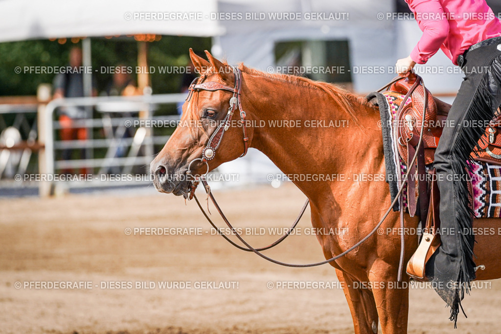 DSC09493 | Pferdegrafie