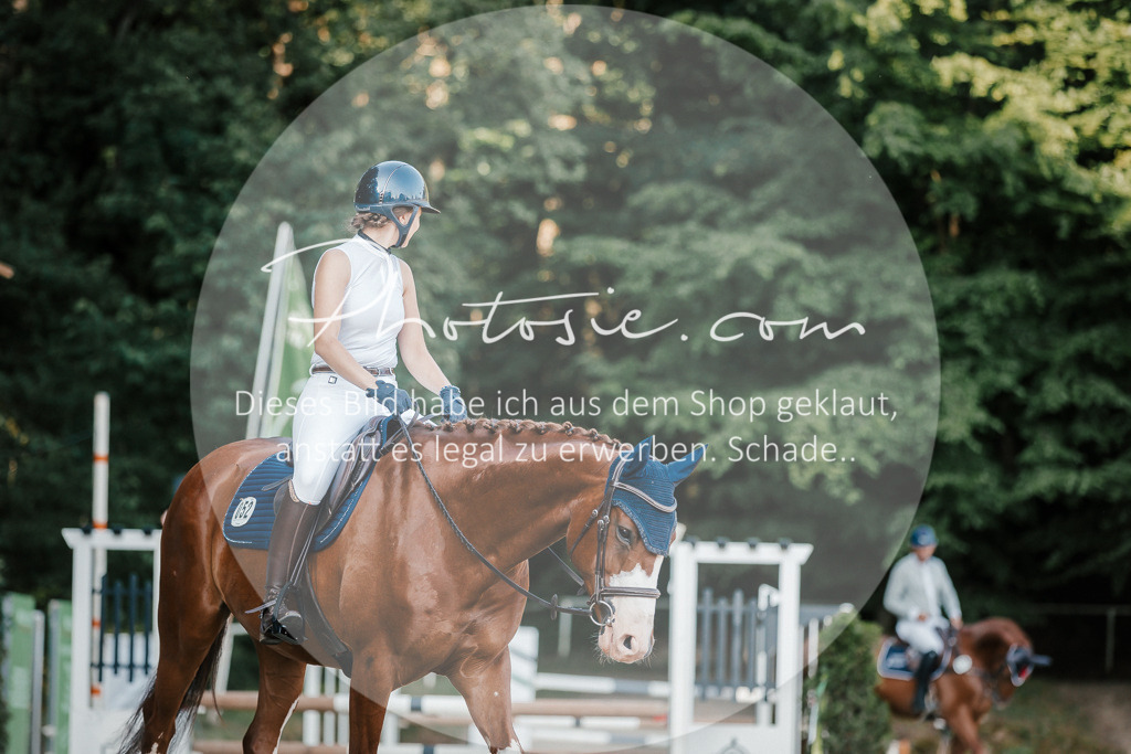 3I6A6011 | Stimmungsvolle Portraits und Reitsportfotografie im Ruhrgebiet und im Münsterland.

Pferdefotografie, Hundefotografie, Tierfotografie, Reportagen, Portraits von Tier und Mensch, Turnierfotografie in Bochum, Recklinghausen, Marl, Haltern am See, Dülmen.. - Realisiert mit Pictrs.com
