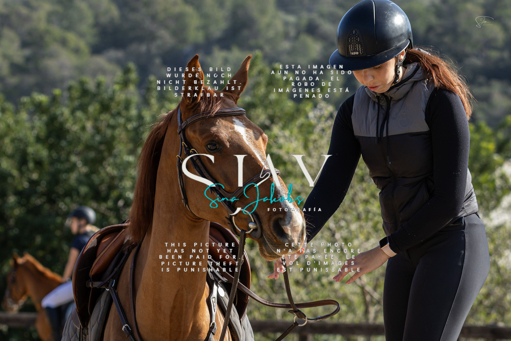 IMG_5834 | s-jay-photography - Realisiert mit Pictrs.com