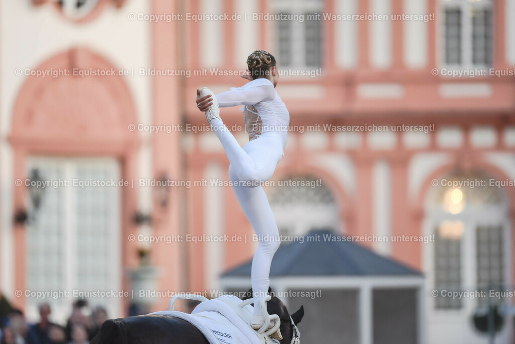 20230527_Voltigieren_NASPA_Flutlicht_0136 | equistock