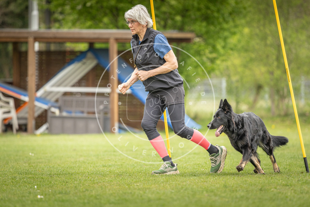 Pfotenfotografie_DV3A0320 | Hundefotografie, Tierfotograf, Pfotenfotografie, Fotoshooting Hund, Hunde Portrait, Hundesport, Hundeportraits, Heideshooting, Hunde, Sportfotograf, Hundefotograf, Turnierhundsport, THS,  - Realisiert mit Pictrs.com