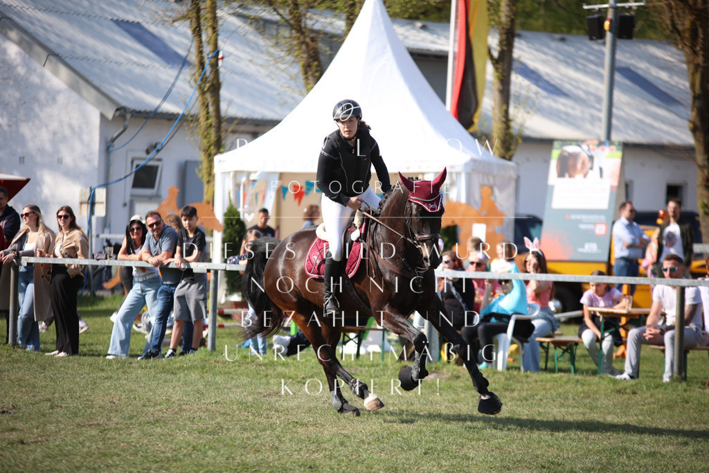 IMGT9157 | pl-fotografie