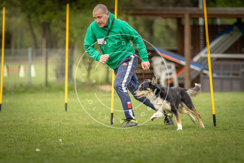 Pfotenfotografie_DV3A2148 | Hundefotografie, Tierfotograf, Pfotenfotografie, Fotoshooting Hund, Hunde Portrait, Hundesport, Hundeportraits, Heideshooting, Hunde, Sportfotograf, Hundefotograf, Turnierhundsport, THS,  - Realisiert mit Pictrs.com