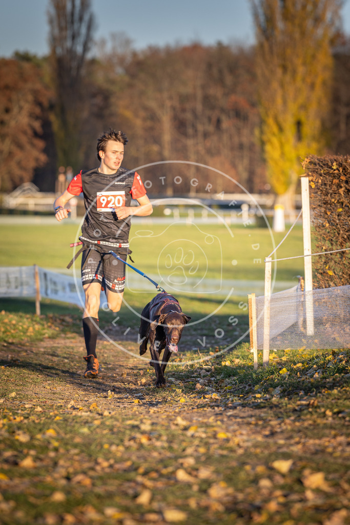 CaniXpix_DV3A4912 | Hundefotografie, Tierfotograf, Pfotenfotografie, Fotoshooting Hund, Hunde Portrait, Hundesport, Hundeportraits, Heideshooting, Hunde, Sportfotograf, Hundefotograf, Turnierhundsport, THS,  - Realisiert mit Pictrs.com