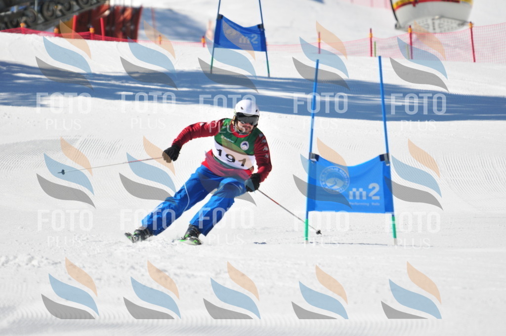 C4378 | holidayphoto