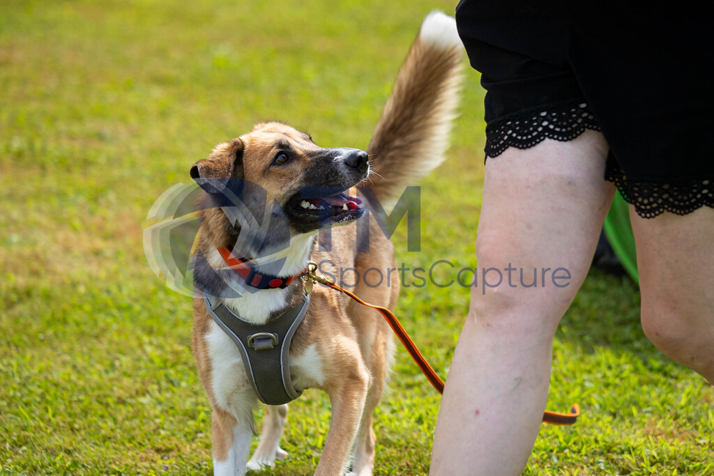 TP-20240815-0190 | Copyright: Trainproduction / Matthias Trinkl