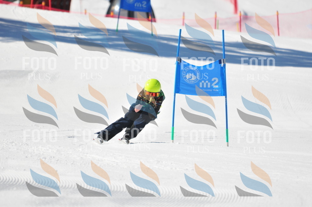 C3799 | holidayphoto