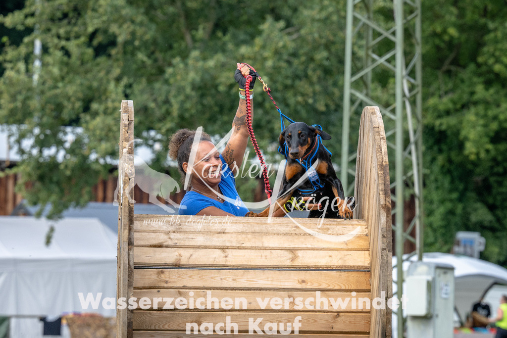 1154_ZZ92078 | kk-dogfotos