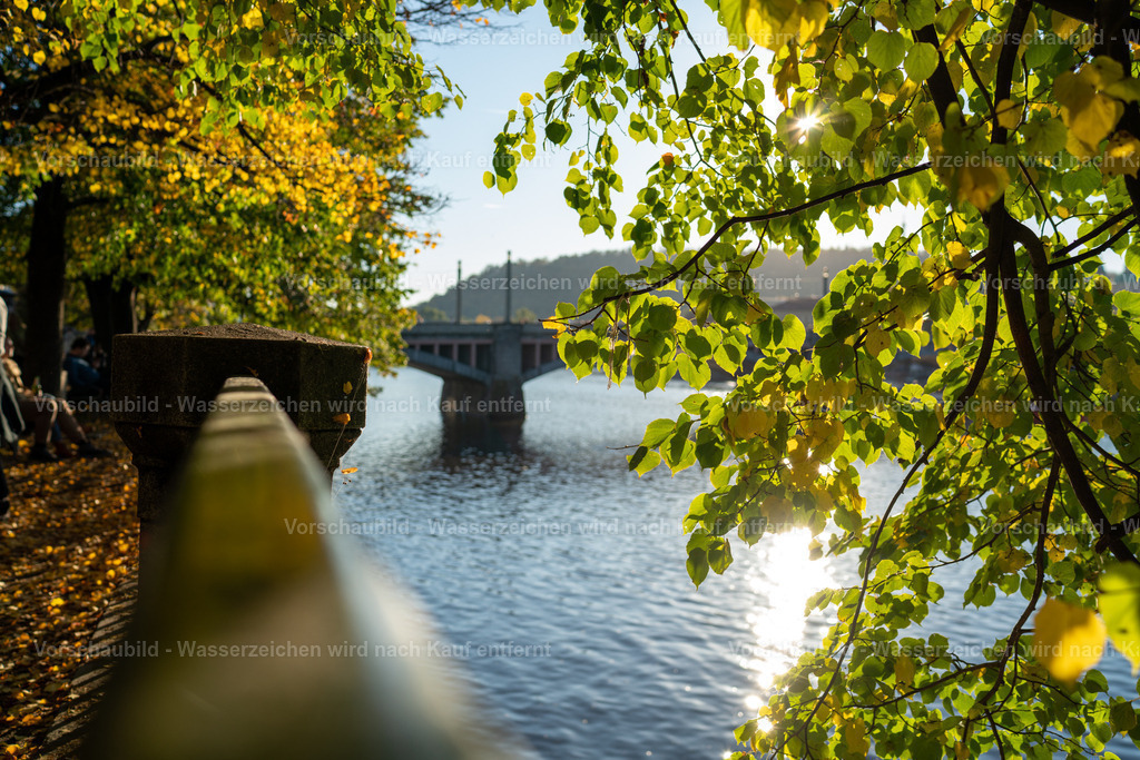 DSC03650 | marcuslinek