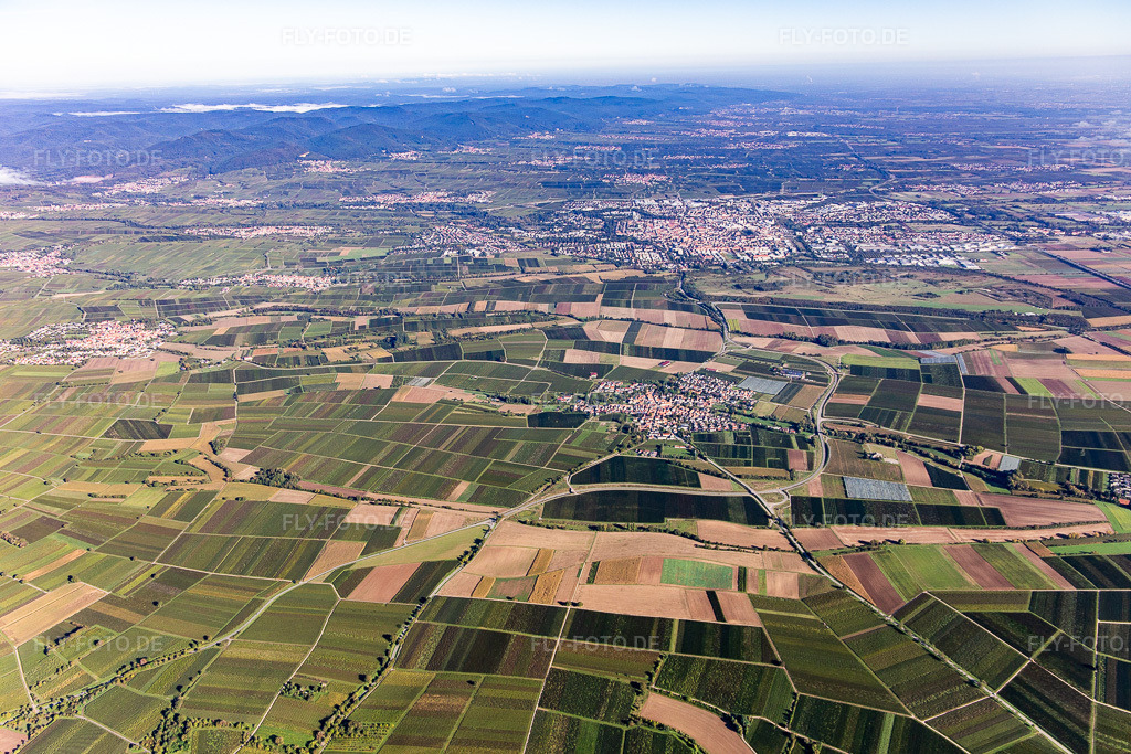 Luftbild: Ortsansicht von Süden in Landau in der Pfalz im Bundesland Rheinland-Pfalz in Deutschland. Foto: IMG_143510.jpg vom 29.09.2024 durch Werner Riehm/FLY-FOTO.de