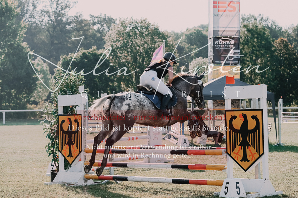 DSC_4492 | Pferde- und Turnierfotografie in Westsachsen. Pferdeportraits, Auftragszeichnungen und intuitive Kunst.