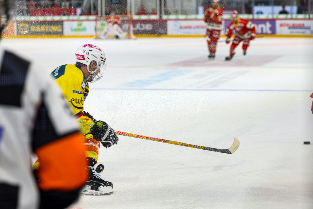 EHCB vs SCB 20260312_wb-4409 | Sportbilder, Sportfotograf, Hochzeits- und Eventfotografin, Flugshows, Portraits und Tiershooting, Aviation, Downhill, Nationalleague, Swissleague, International