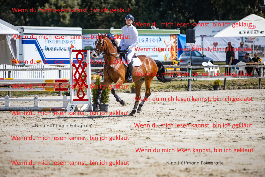 BK1A5145 | Turnierbilder Turnierfotos Nina Hüffmann Turnierfotografie Pferdefotografie Tierzeichnung Haustierzeichnung Pferdezeichnung Hundezeichnung Videograf  - Realisiert mit Pictrs.com