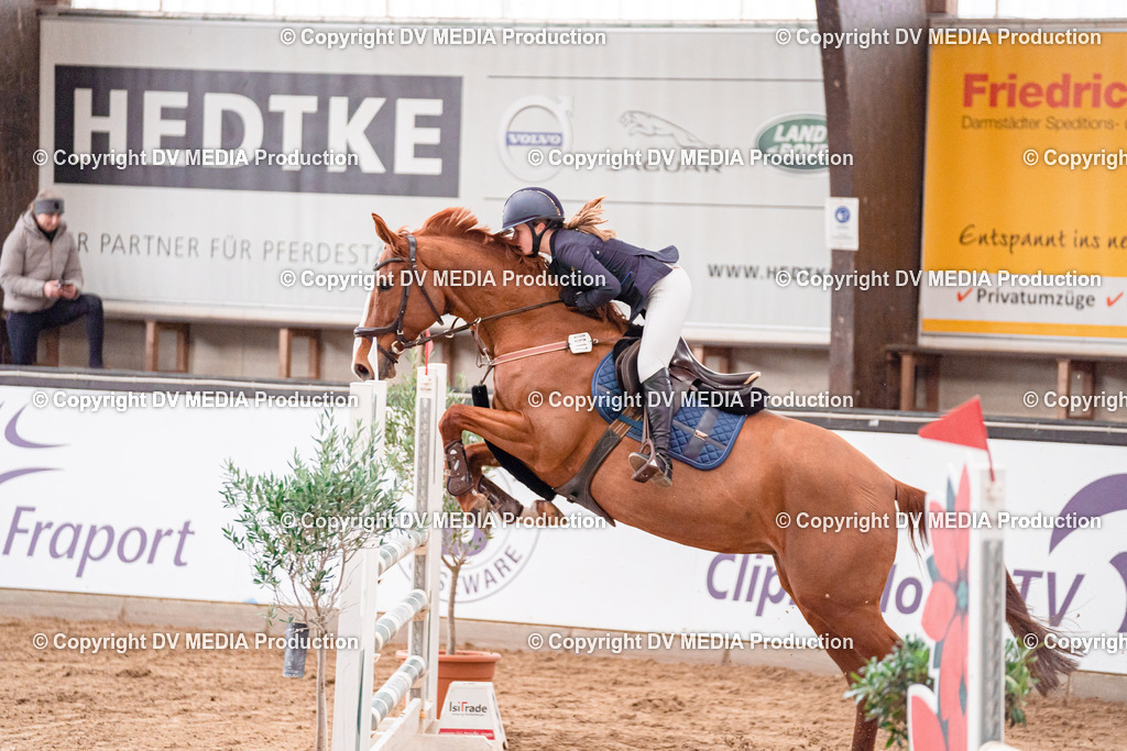 Kranichstein Tag 3-570 | dv-media-shop - Realisiert mit Pictrs.com