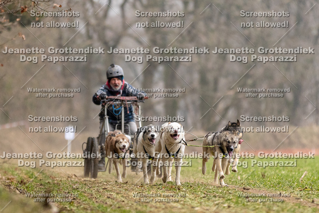 Dog Paparazzi - Plate 2026-23 | Dog Paparazzi Jeanette Grottendiek Fotografie & Videografie - Realisiert mit Pictrs.com