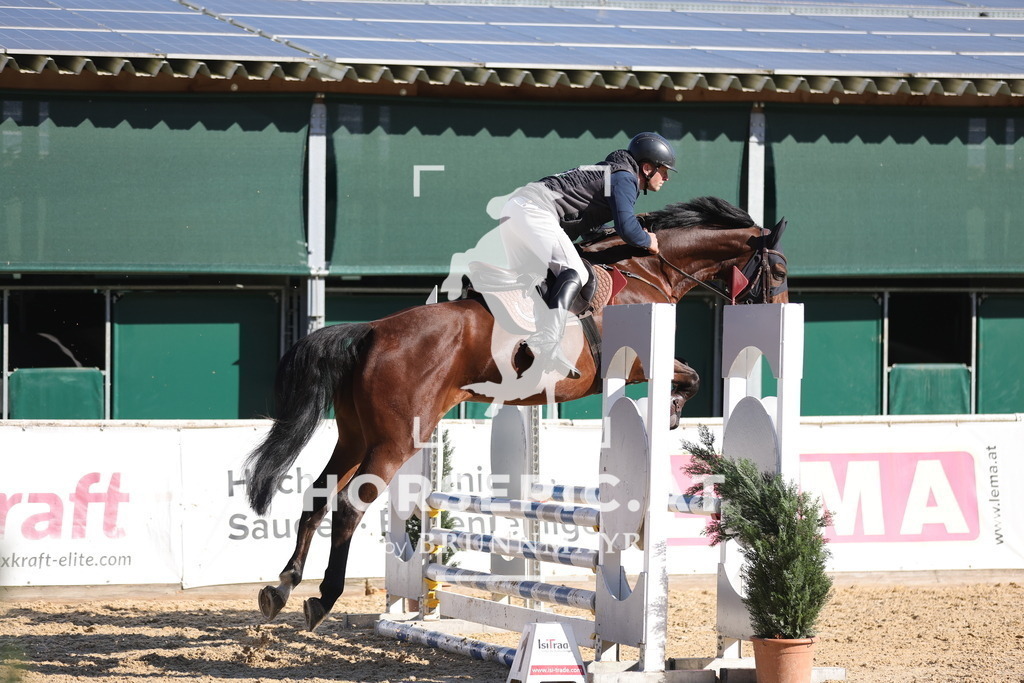0P6A9361 | Willkommen bei Brunnmayr - Design & Fotografie – Ihrem Spezialisten für Reitturniere und Pferdeveranstaltungen in Oberösterreich, Salzburg und Bayern! Seit über 17 Jahren sind wir leidenschaftlich dabei.