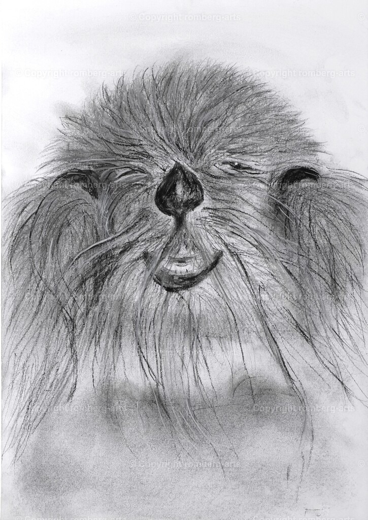 L1020543 (2) | romberg-arts, romberg-arts.de, www.romberg-arts.de, Foto_Online_Shop, Julia Fuhrmann, Köln, Fotos, Fotografie, Fotokunst, Kunstdrucke, Naturfotos, Aktfotos, Nacktfotos, schwarz_weiß_Fotos, Blumenfotos, Blumen, Tiere, Beton, Korrosion, Lächeln, Drucke