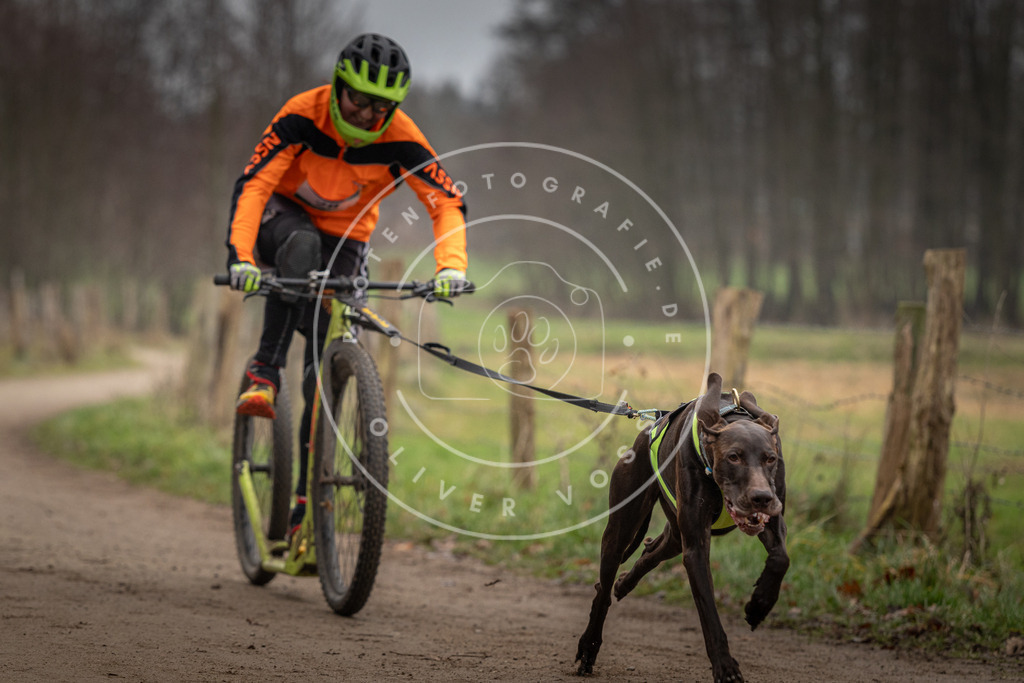 Pfotenfotografie_DV3A2203 | Hundefotografie, Tierfotograf, Pfotenfotografie, Fotoshooting Hund, Hunde Portrait, Hundesport, Hundeportraits, Heideshooting, Hunde, Sportfotograf, Hundefotograf, Turnierhundsport, THS,  - Realisiert mit Pictrs.com