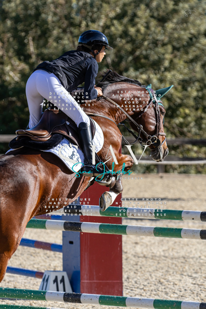 IMG_0028 | s-jay-photography - Realisiert mit Pictrs.com