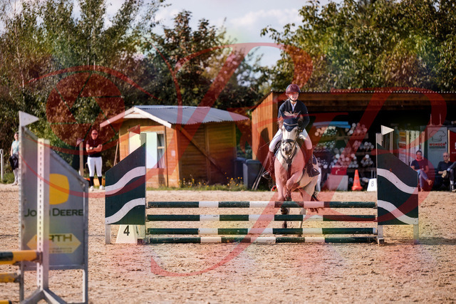 2026_10_03_Siefer-Hof_154519_Z81_63620428 | Professionelle Reitsport-, Turnier- und Eventfotografie von Robert Broda. Galerien mit ausgewählten und bearbeiteten Bildern direkt online ansehen und bestellen.
